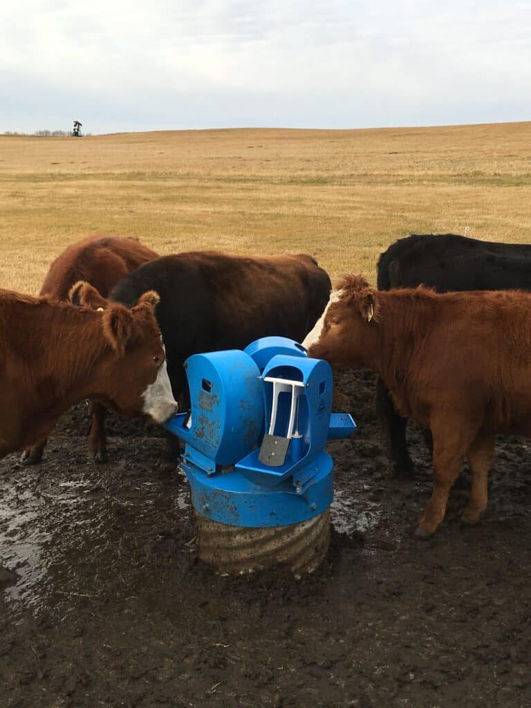 heated cattle water pump system - Frostfree Nosepumps - picture of pump and cattle